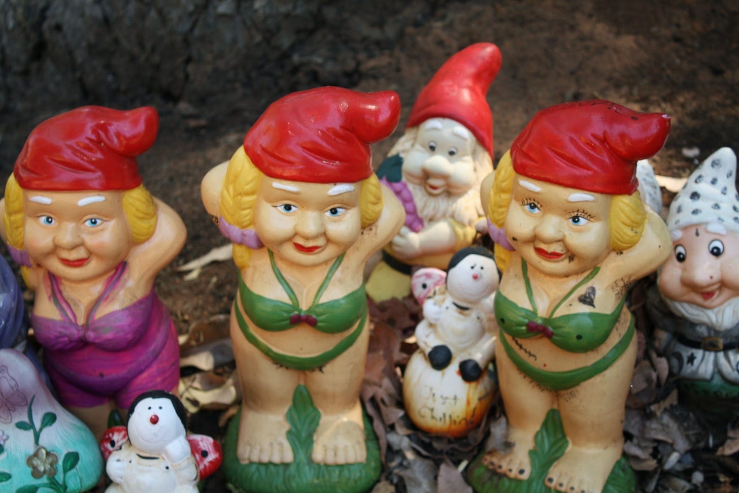Gorgeous Gnomesville