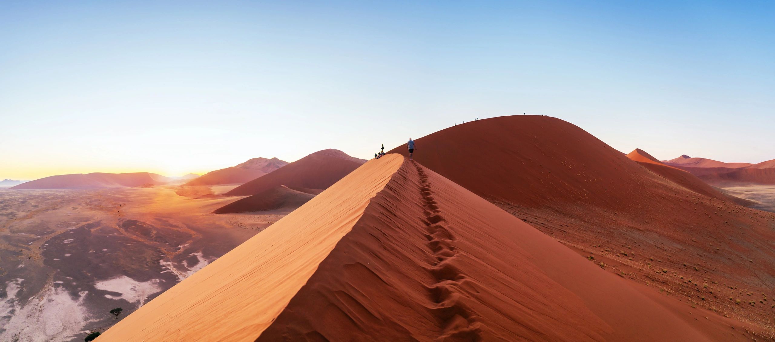 Sunrise light over desert dunes