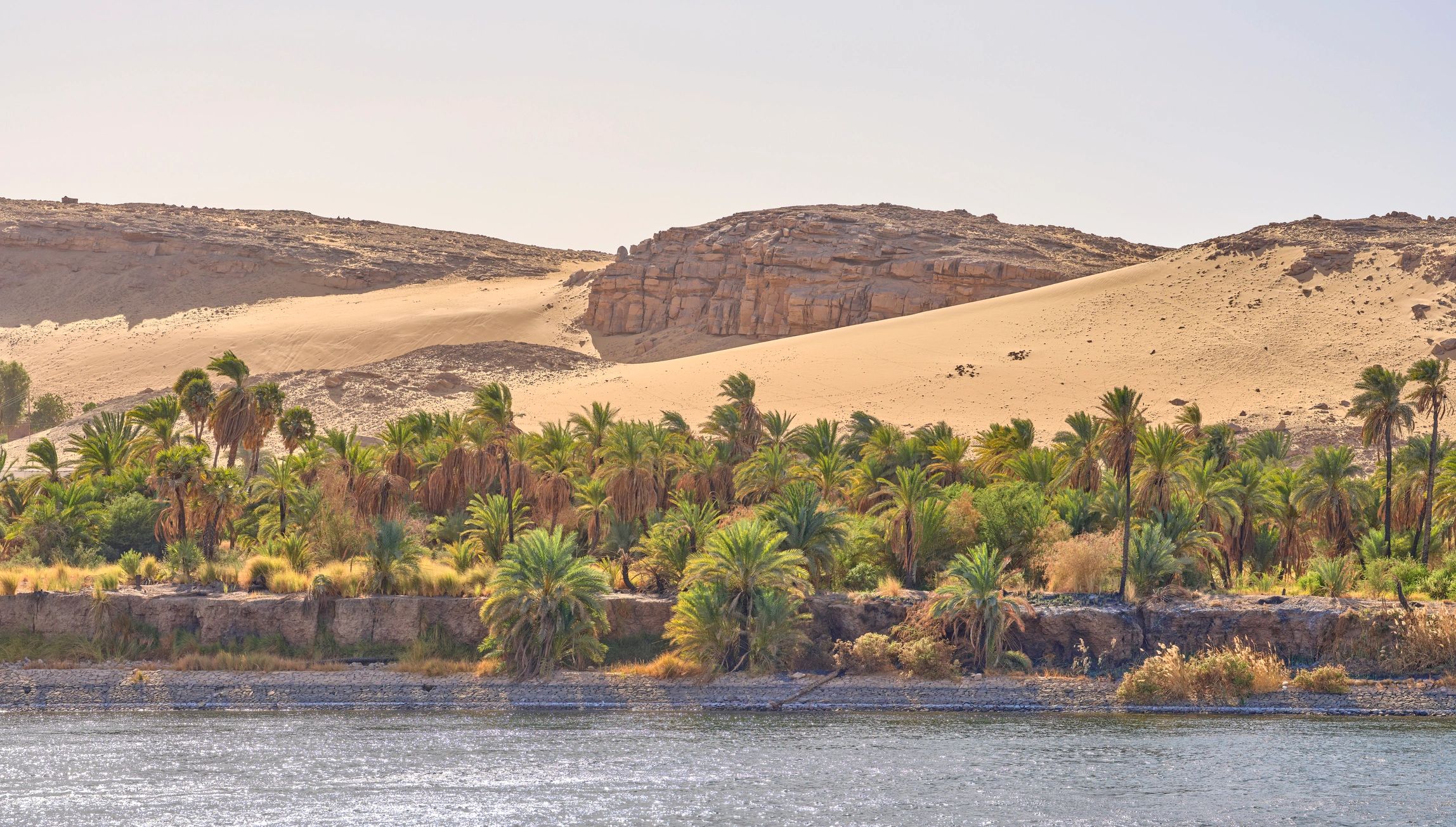 Nile riverbank with palm oasis and desert dunes
